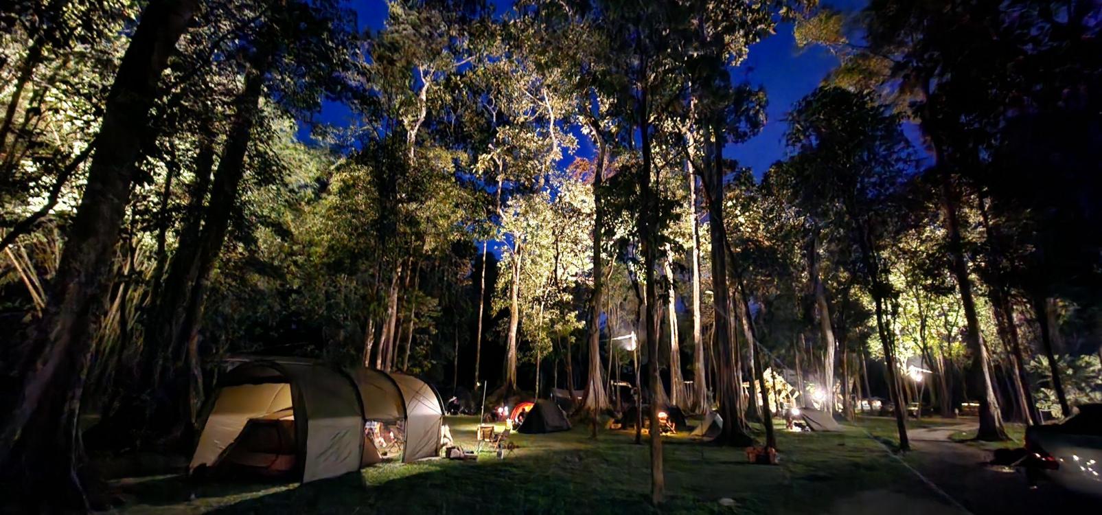 Forest 8 Senses | Escabee.com