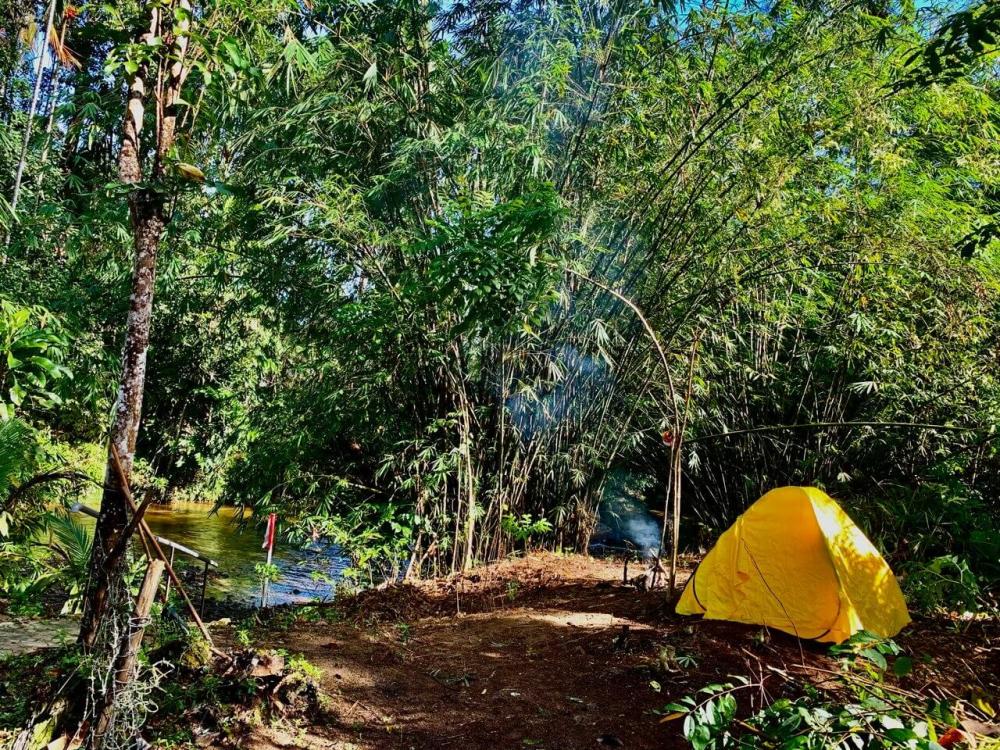 Rimba Jelai Cabin & Wild Camping - Campsite in Batu Kurau, Perak photo 2
