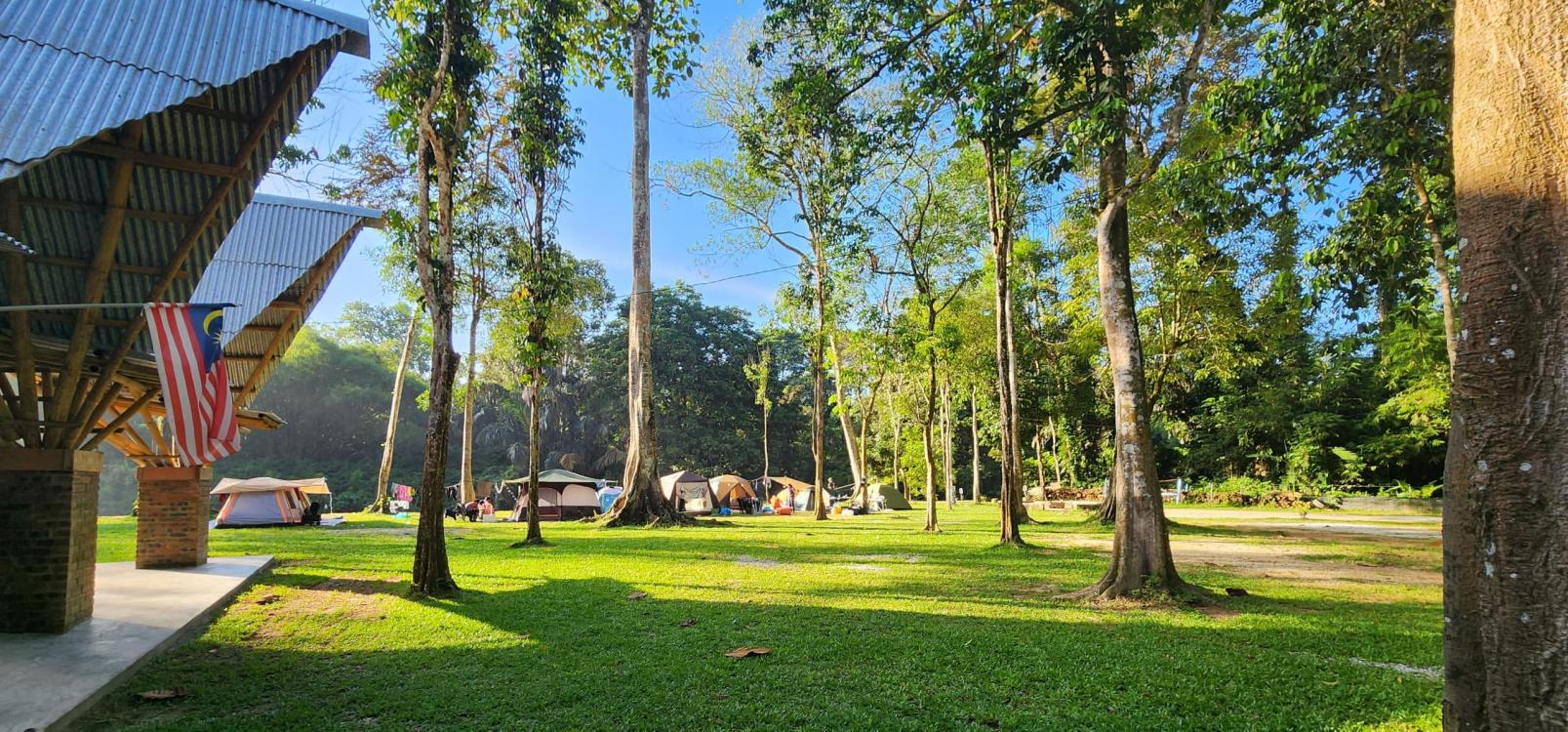 Forest 8 Senses | Escabee.com