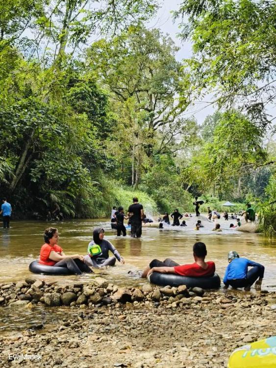 Dusun Apak Kawww | Escabee.com