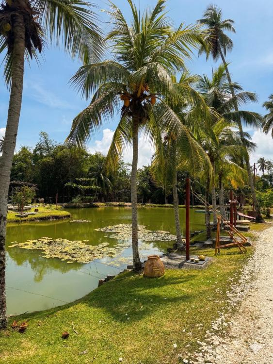 Sea Horizon Resort | Escabee.com