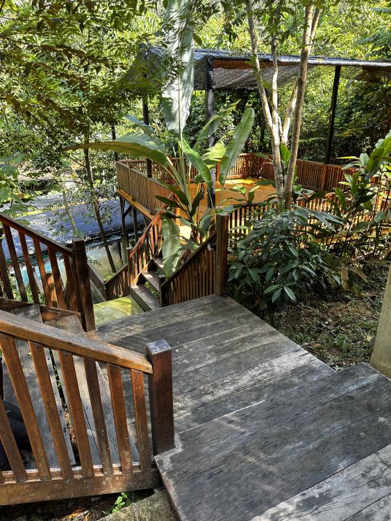 Rasa Hill | Escabee.com
