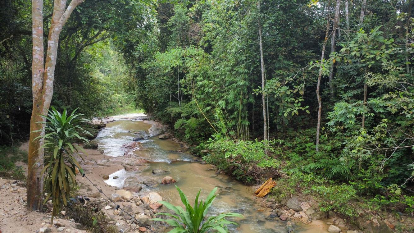 Mori Leka Campsite | Escabee.com