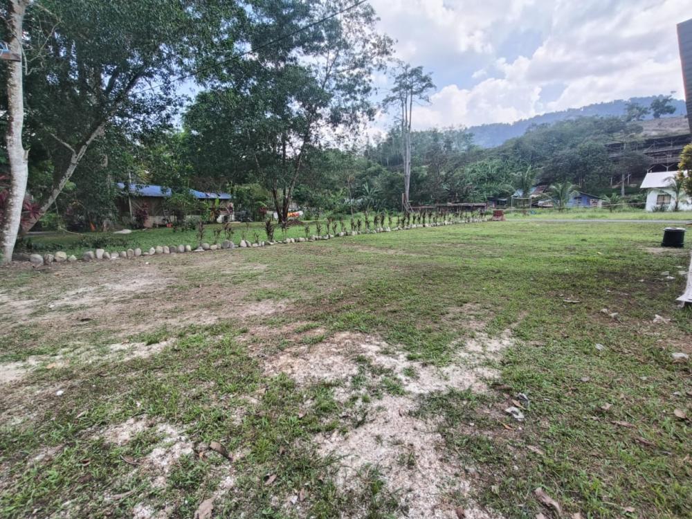 Ecotouria Sungai Congkak | Escabee.com