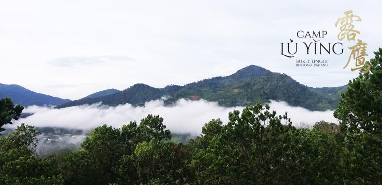 Lu Ying Retreats