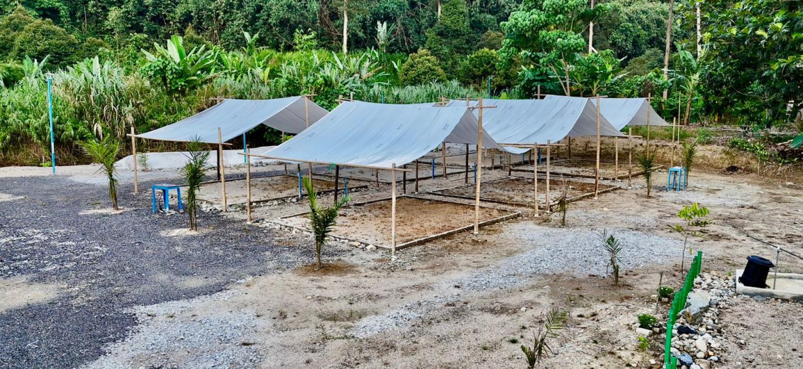 D' Chingu Nature Campsite | Escabee.com