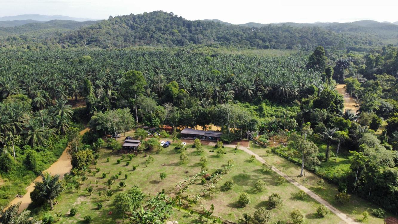 Laman Eden Campsite Kepis | Escabee.com