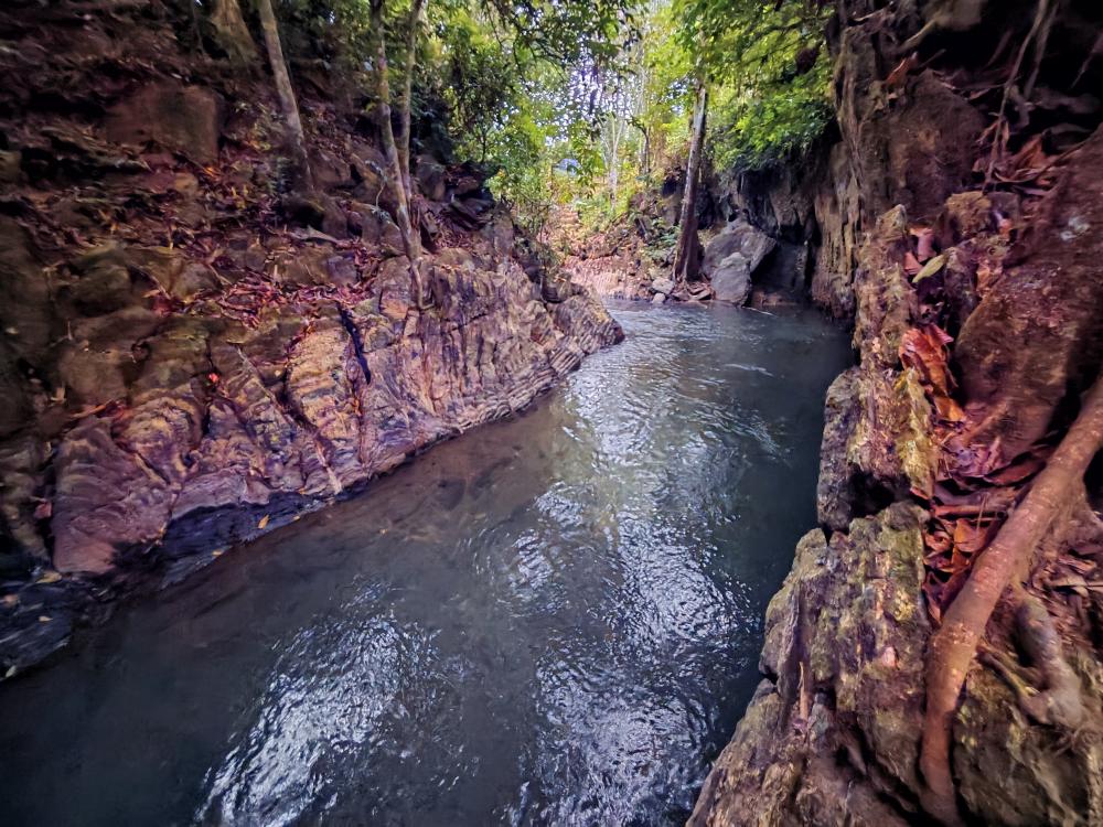 Santai Dusun Campsite | Escabee.com