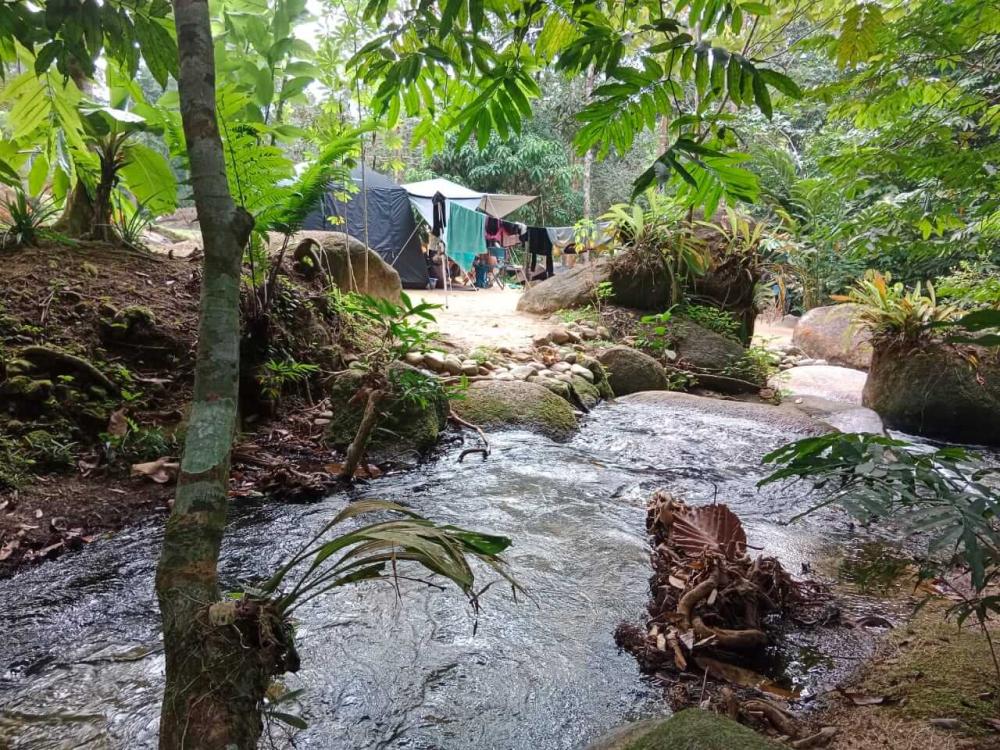 Draco Nature Camp | Escabee.com
