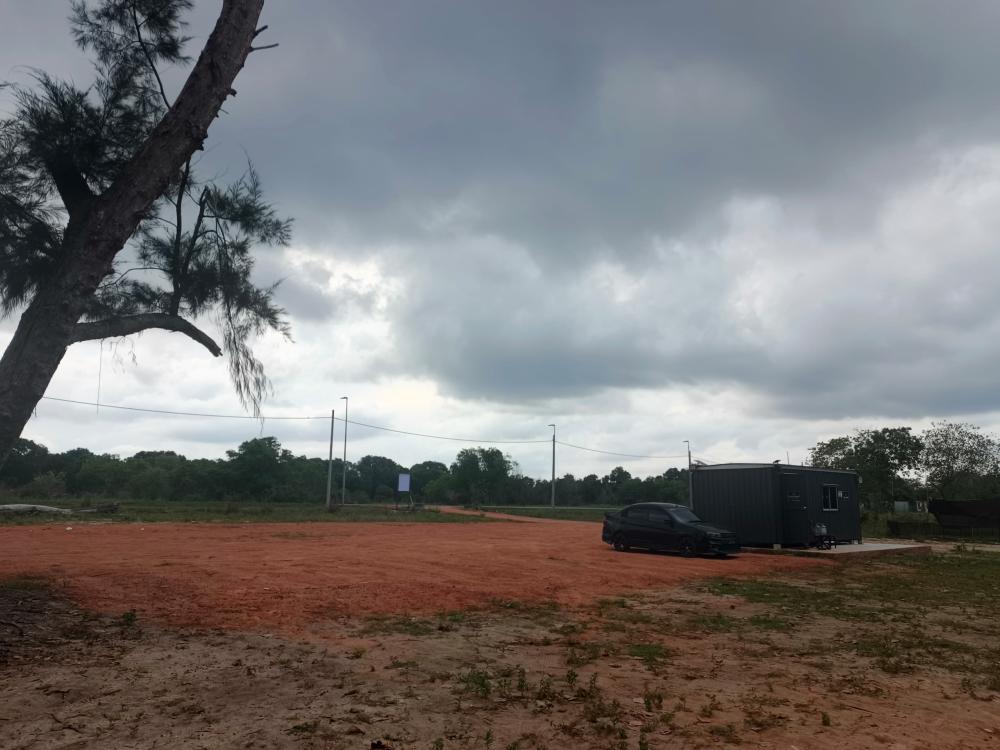 Ali Camp | Escabee.com