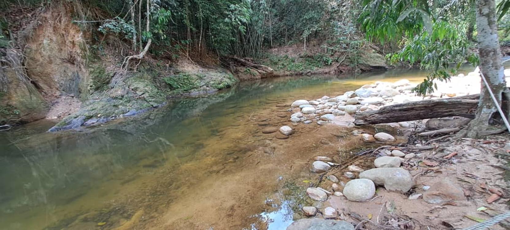 Tok Bak Campsite | Escabee.com