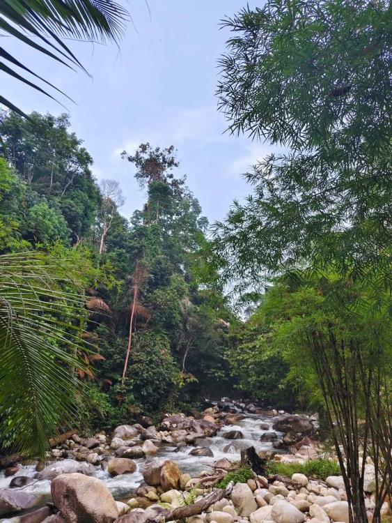 Laman Rindu Campsite, Sg Bil | Escabee.com