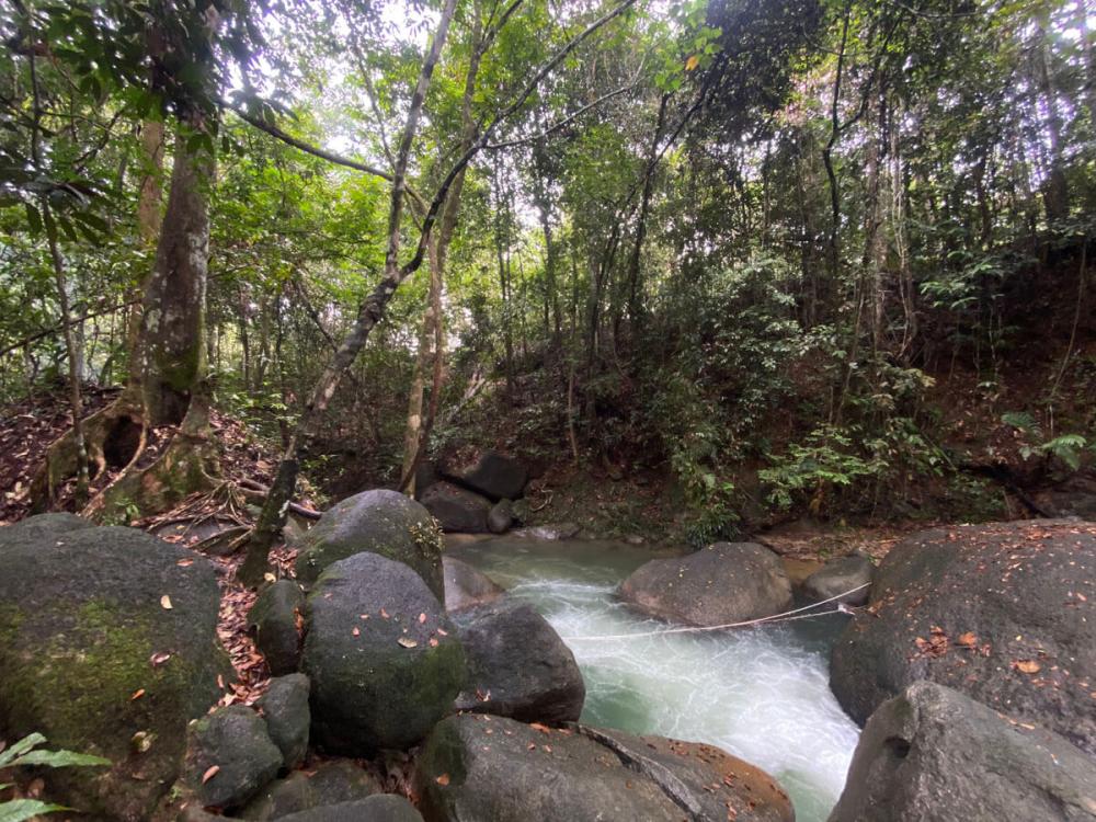 Tupai Emas Campsite | Escabee.com