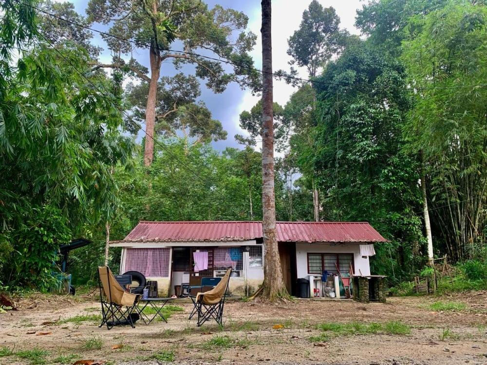 Rimba Jelai Cabin & Wild Camping | Escabee.com