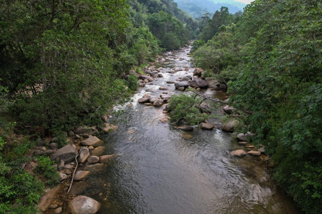 Bentong Happy Farm | Escabee.com