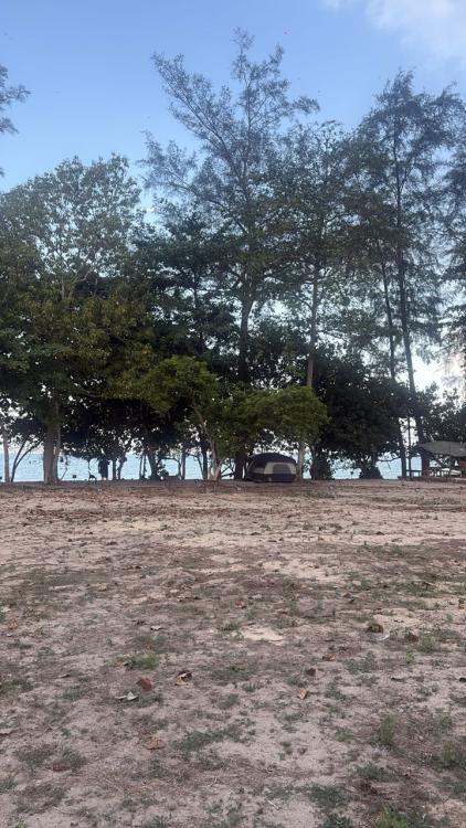 Ali Camp | Escabee.com