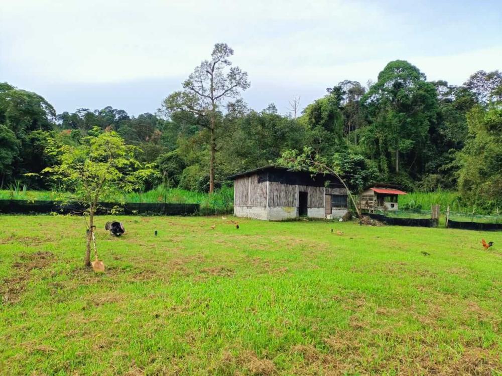 Hulu Langat Homestay Eco Farm | Escabee.com