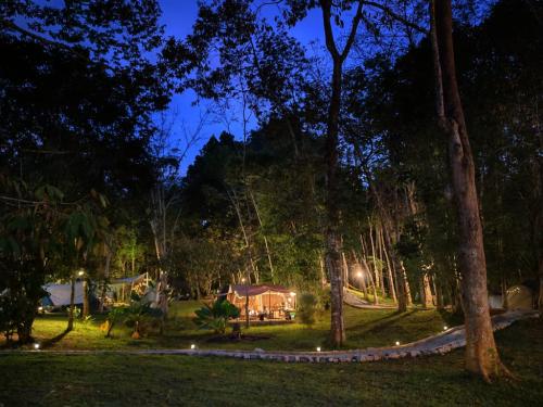 Santai Dusun Campsite