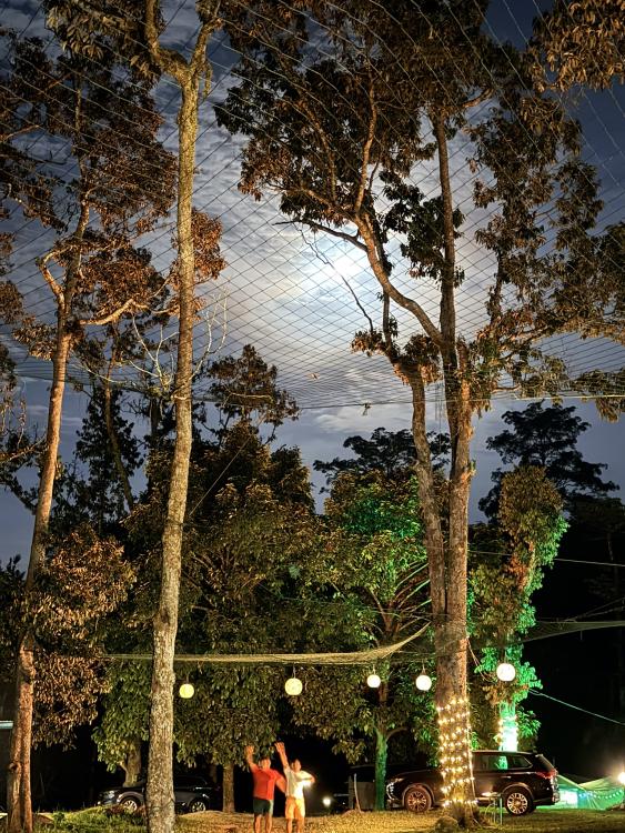 Camp Mantap | Escabee.com