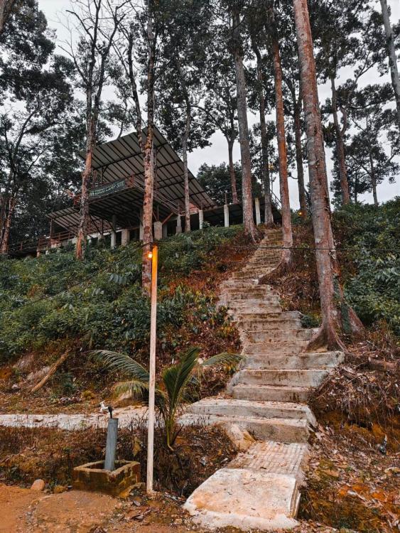 Laman Rindu Campsite, Sg Bil | Escabee.com