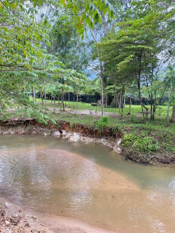 De Sunny Farm and Resort | Escabee.com