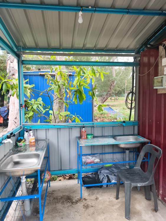 Ali Camp | Escabee.com
