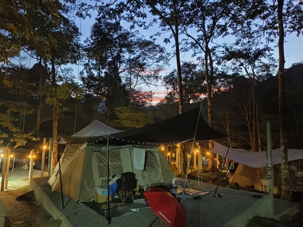 Draco Nature Camp | Escabee.com
