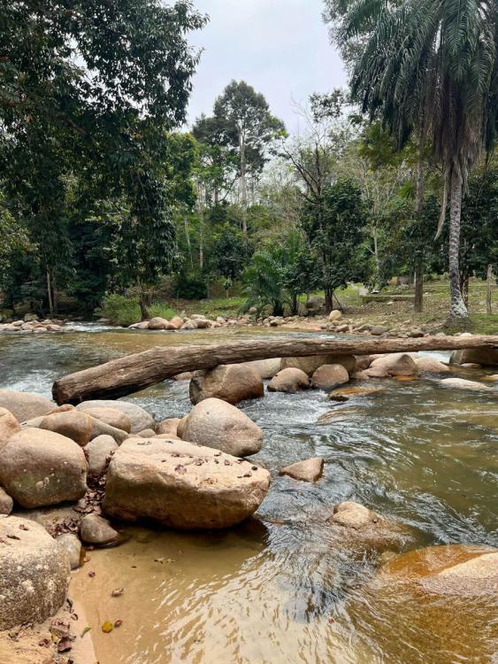 Lata Felda Lawin Selatan | Escabee.com