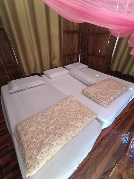 Saraphi Campsite And Homestay | Escabee.com