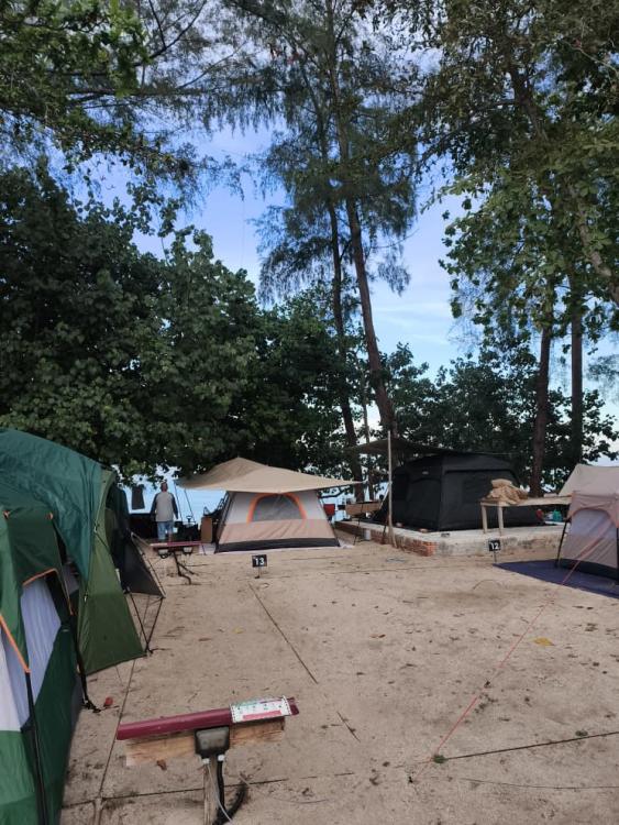 Ali Camp | Escabee.com