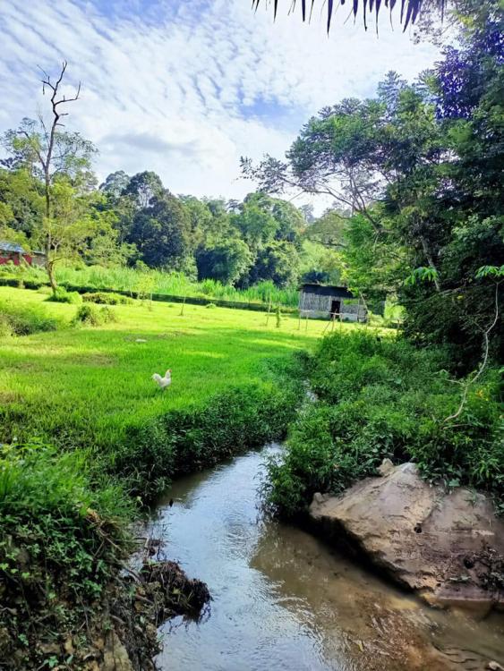 Hulu Langat Homestay Eco Farm | Escabee.com