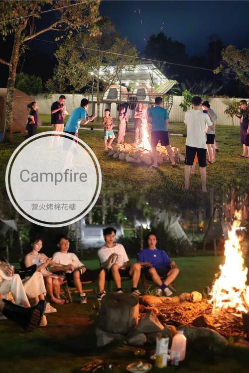 De Star Glamping | Escabee.com