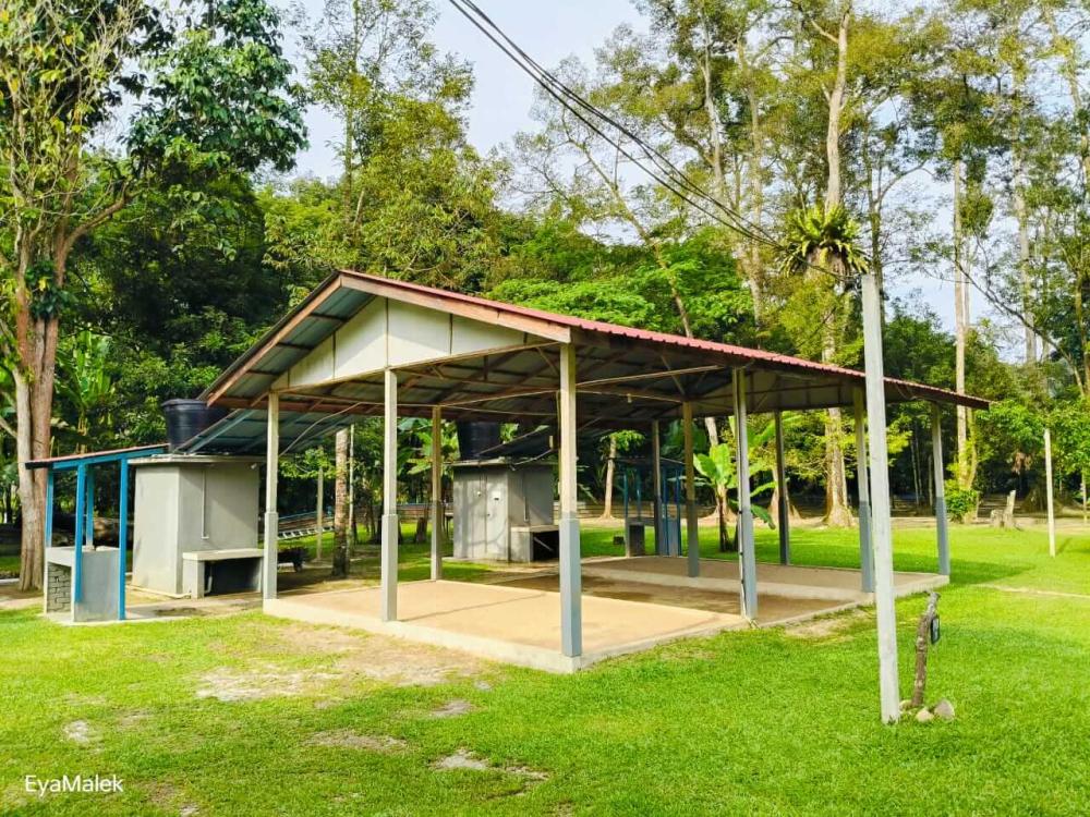 Dusun Apak Kawww | Escabee.com