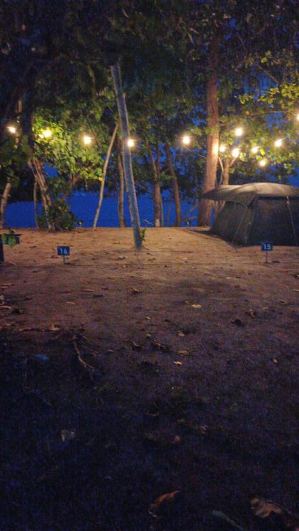 Ali Camp | Escabee.com