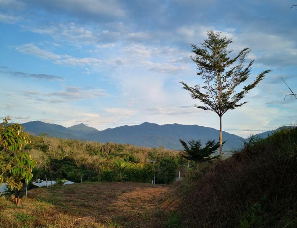 Harley Hidden Valley photo 2