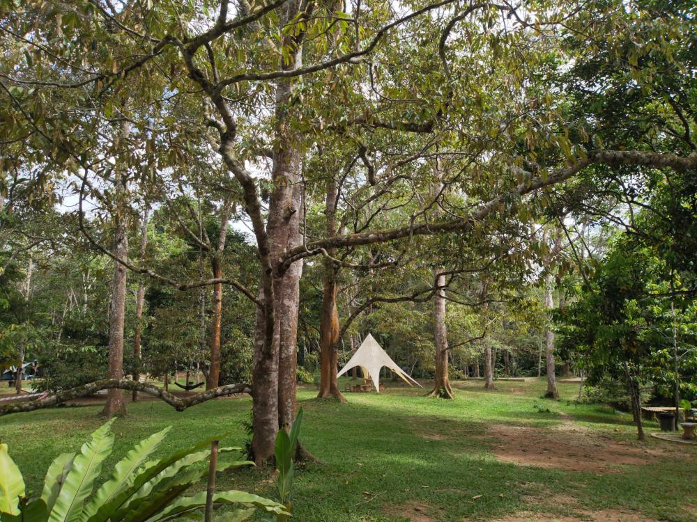 Santai Dusun Campsite | Escabee.com
