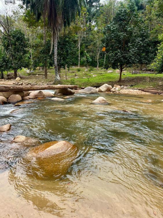 Lata Felda Lawin Selatan | Escabee.com