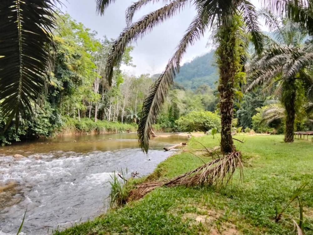 Jahut Campsite | Escabee.com
