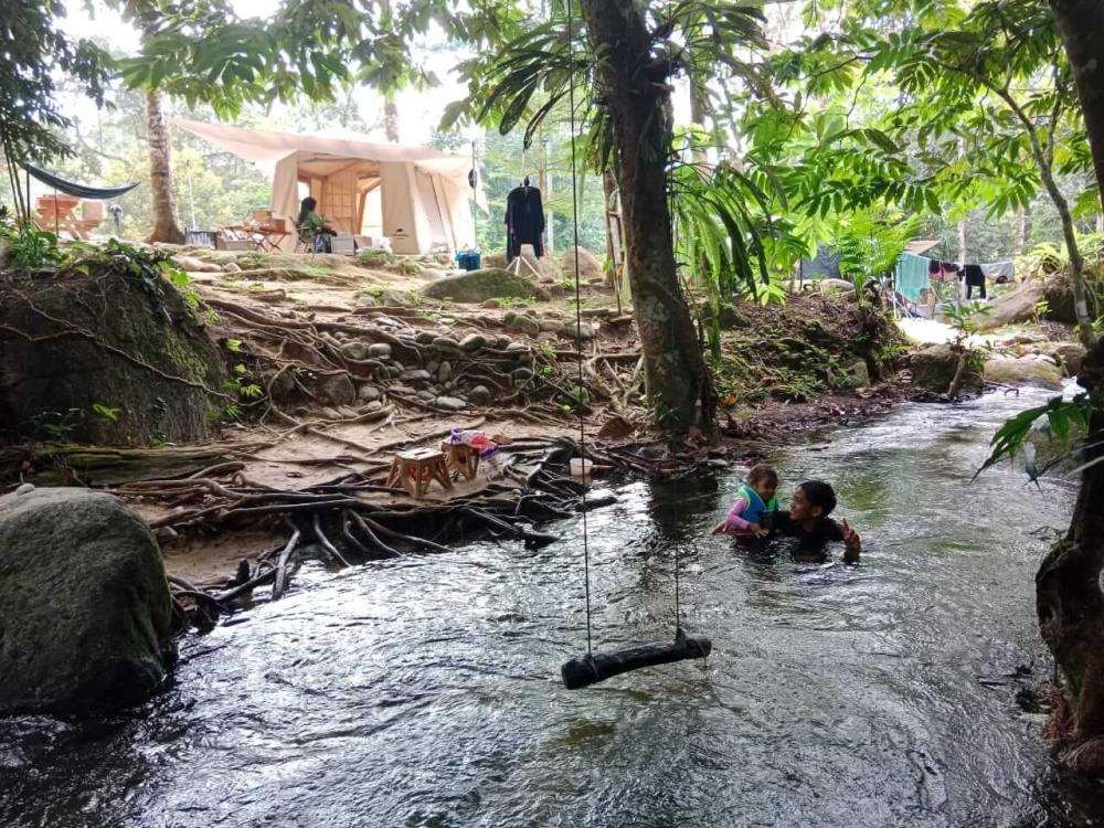 Draco Nature Camp | Escabee.com