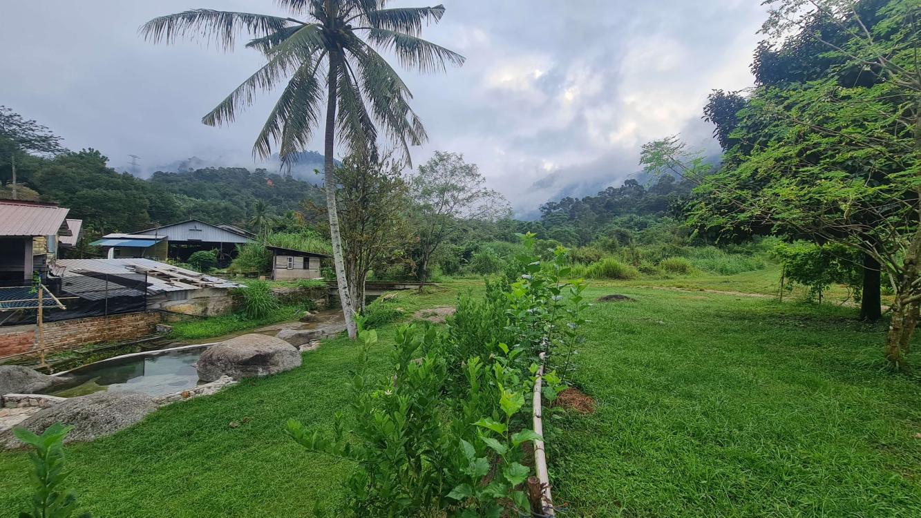 Bentong Fruits Farm Hot Spring Campsite | Escabee.com