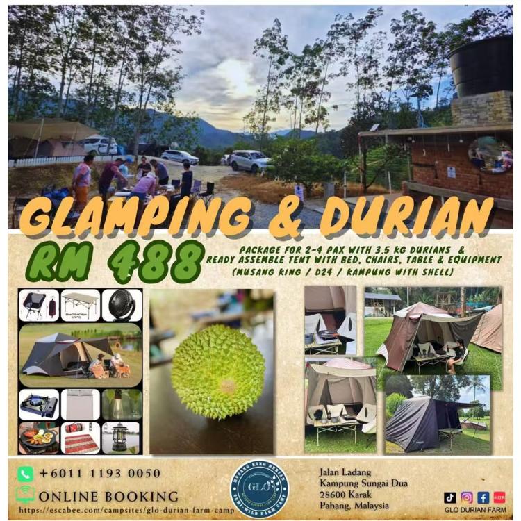 GLO Durian Farm & Camp | Escabee.com