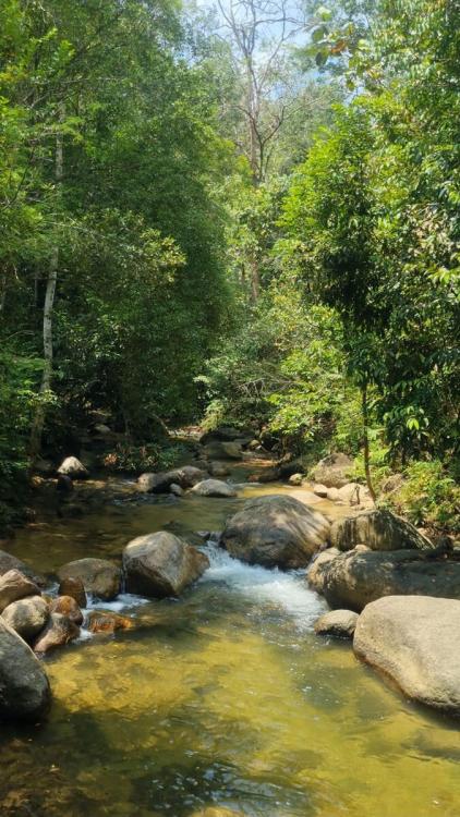 Port Rahsia Campsite | Escabee.com