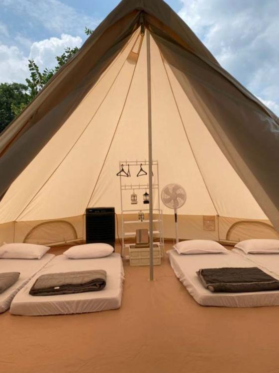 The Survivor Camp And Glamp | Escabee.com