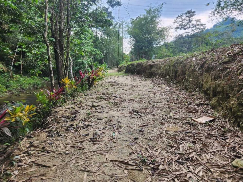 Langat Heritage 13 ( Herlang 13) Campground | Escabee.com
