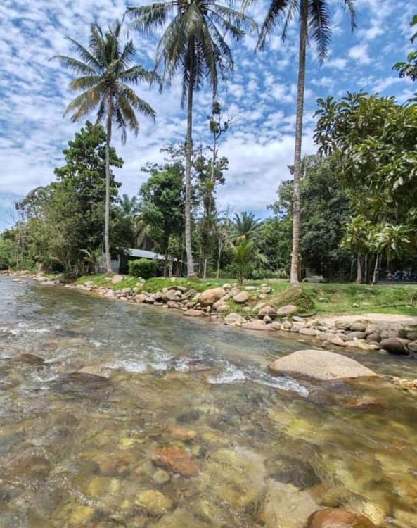 Gopeng Tree Tent | Escabee.com