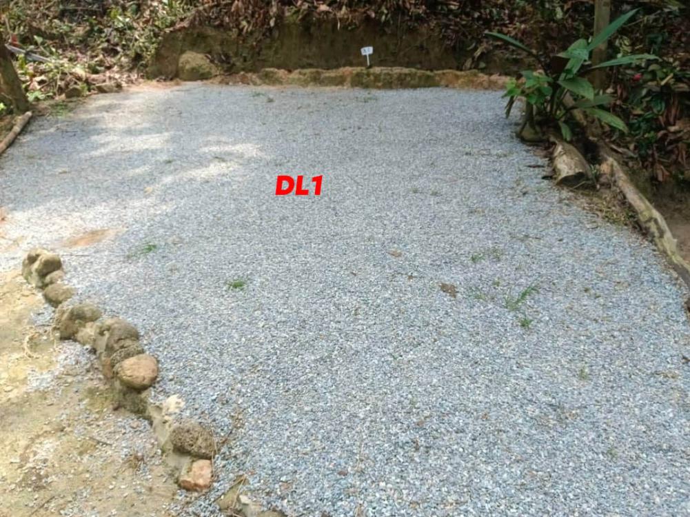 Zone D Lereng at Ajin Campsite Semungkis