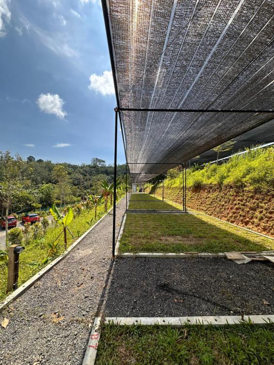 ZONE B - Individual Lots at Rasa Hill