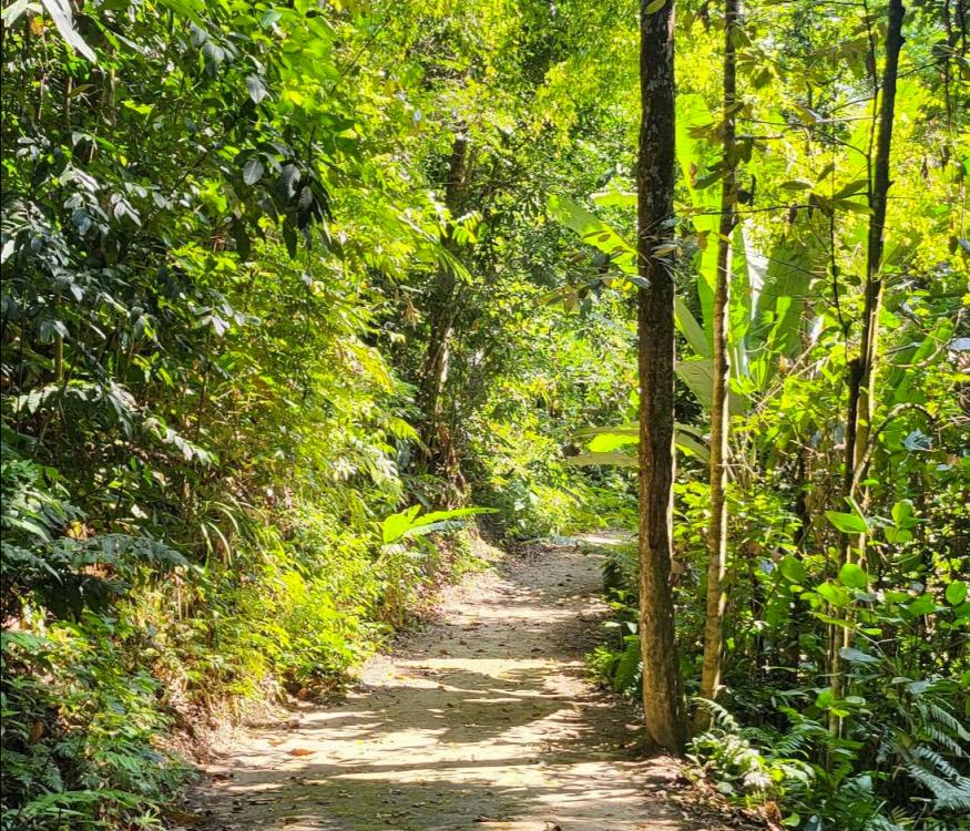 DayTrip Pass (1 person) Pass Harian at CampRED @ Berjaya Hills