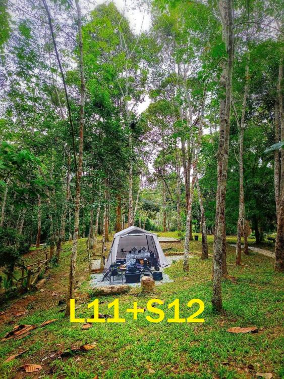 Twin Camping Lot (6 Pax) at Santai Dusun Campsite