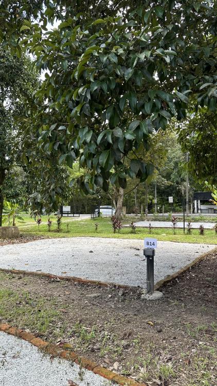 Camping Lot - Zone B at Sg Bil Garden Campsite